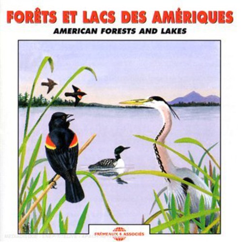 American Forests & Lakes