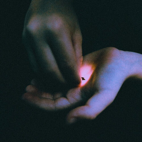 Bambara - Stray (Indie Exclusive) (Color Vinyl) [Clear Vinyl] [Indie Exclusive]