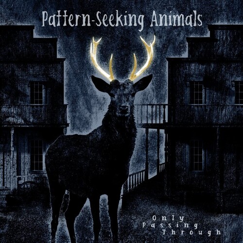 Pattern-Seeking Animals - Only Passing Through [2LP/CD]