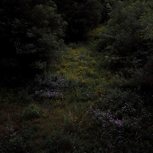 Higher Lonely Power - Black & White