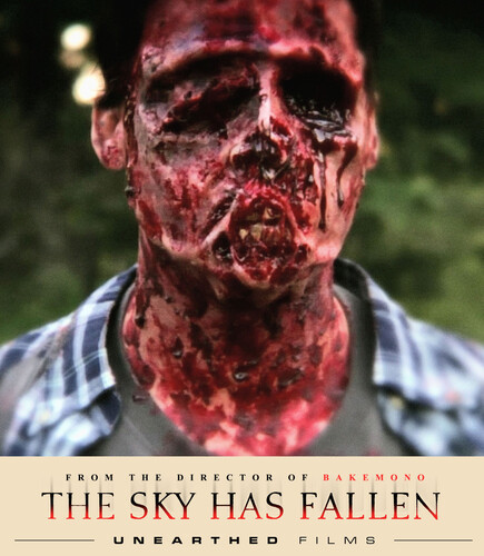 The Sky Has Fallen