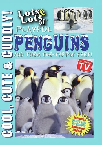 Lots and Lots of Playful Penguins