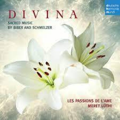 Divina [Import]