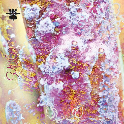 Qoa - Sauco vinyl record cover