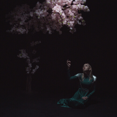 AS THE LIGHT LEFT
