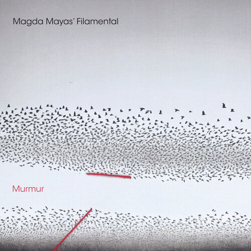 Magda Mayas Filamental - Murmur vinyl record cover